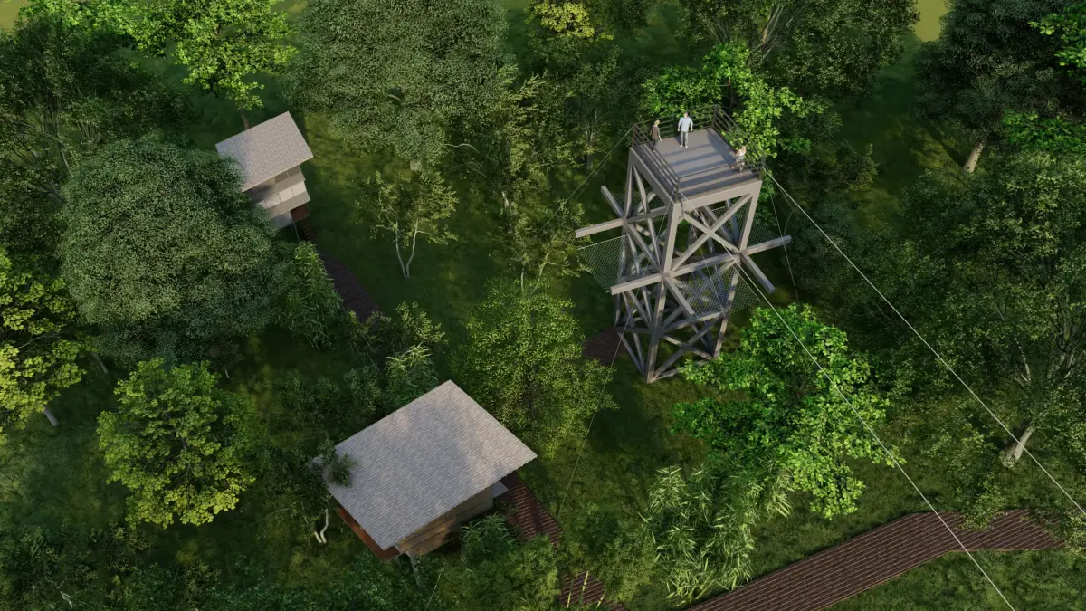Structure Development