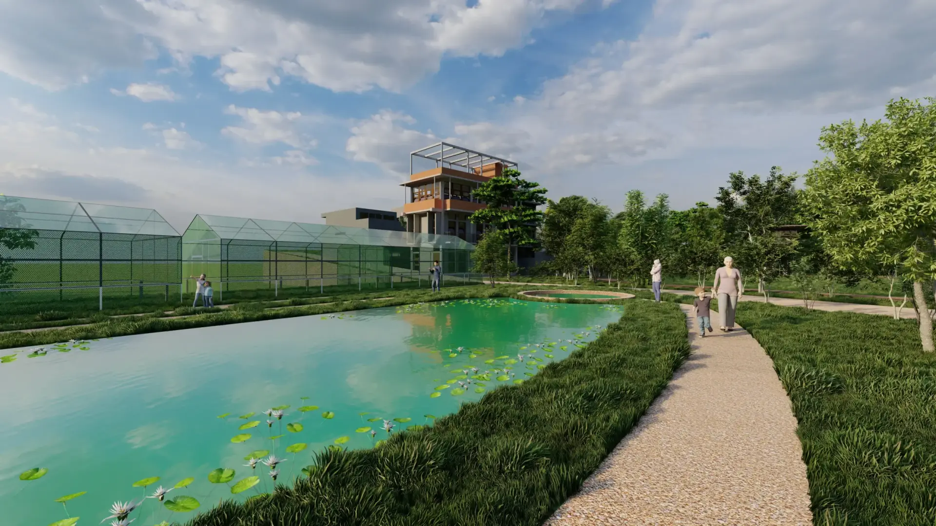Mangrove Environment